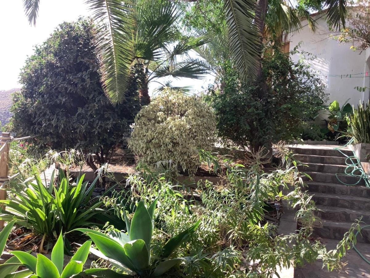 Cortijo De La Fuente Apartment Albunol Exterior photo